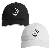 Weiss art Koala Baseball Cap